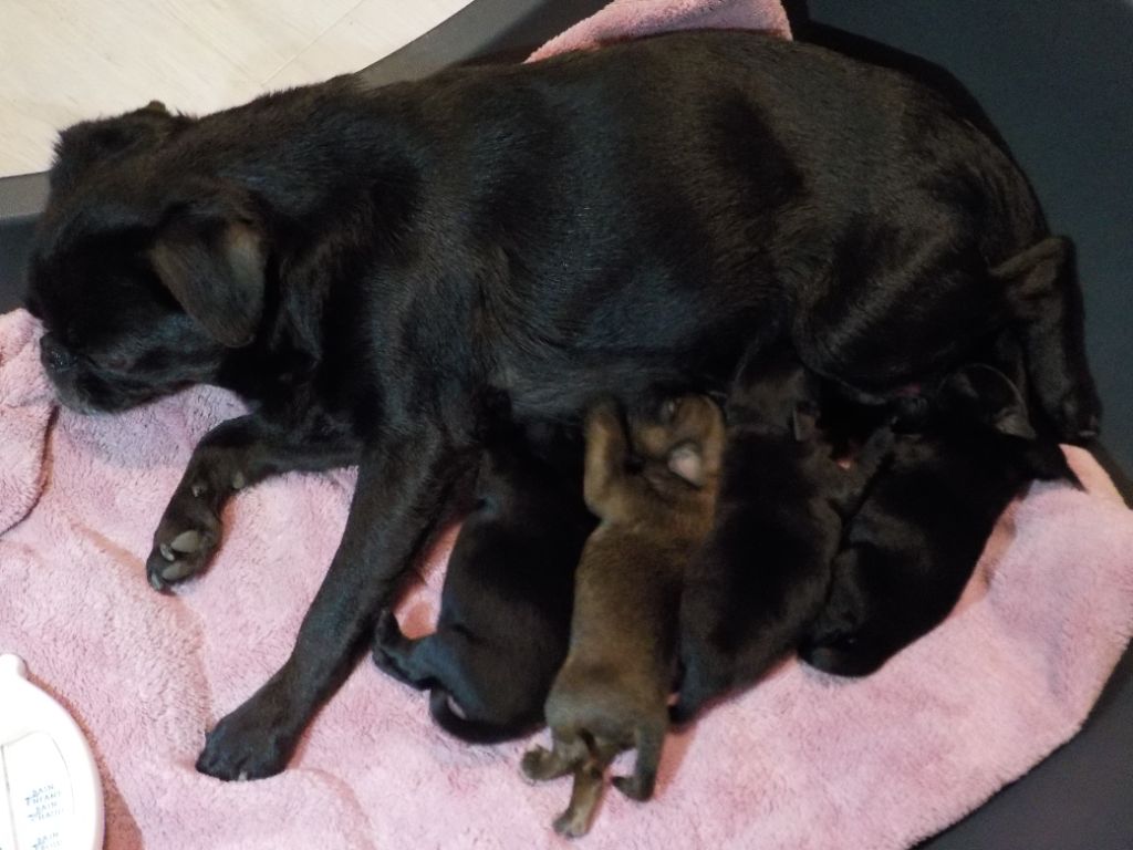 UNE NAISSANCE AU PRIVILEGE DE DARWIN !!!