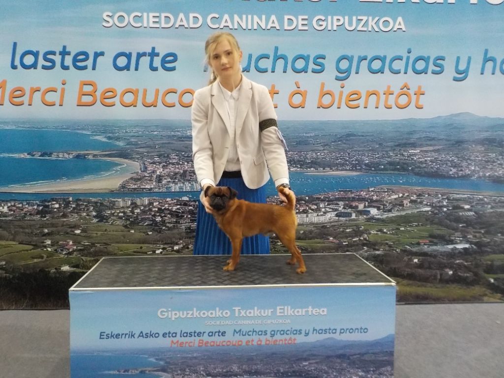 Let it Be De Mar&Mar CACIB Meilleur de Race à IRUN ( ESPAGNE) !