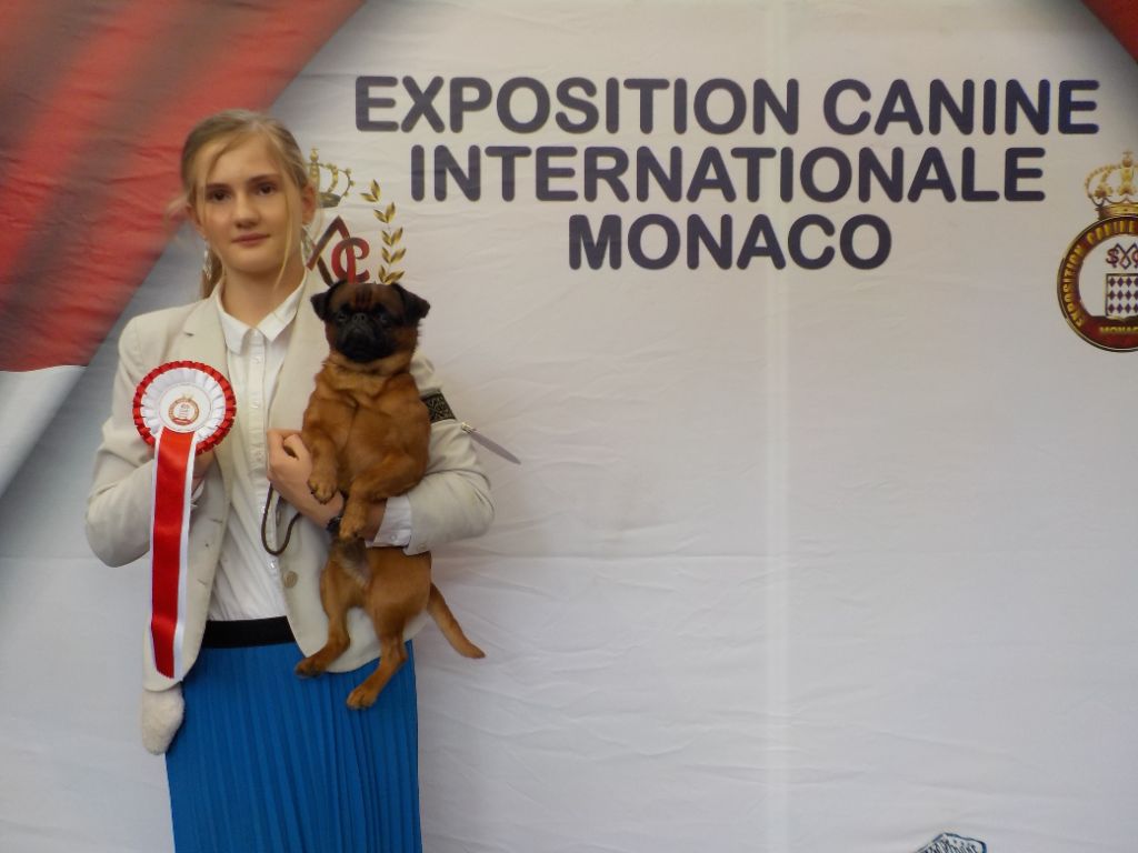 let it Be De Mar&Mar CACIB Meilleur de Race à MONACO ! 